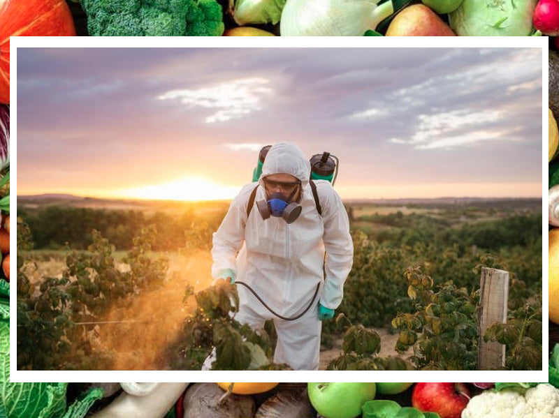 GMOs are making us sick, can organic foods heal us?