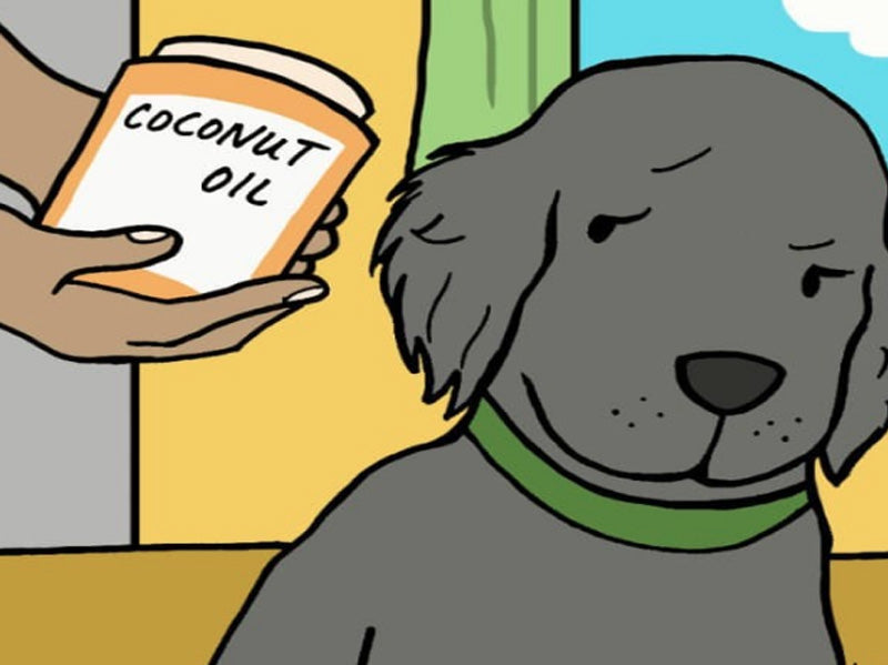 Magical Coconut Oil for Pets!