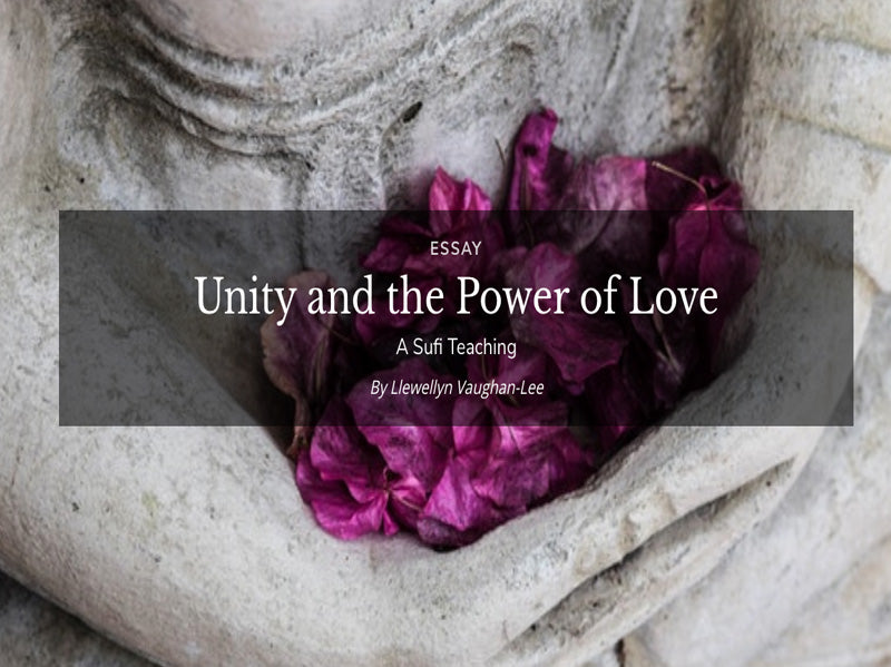 Unity and the Power of Love