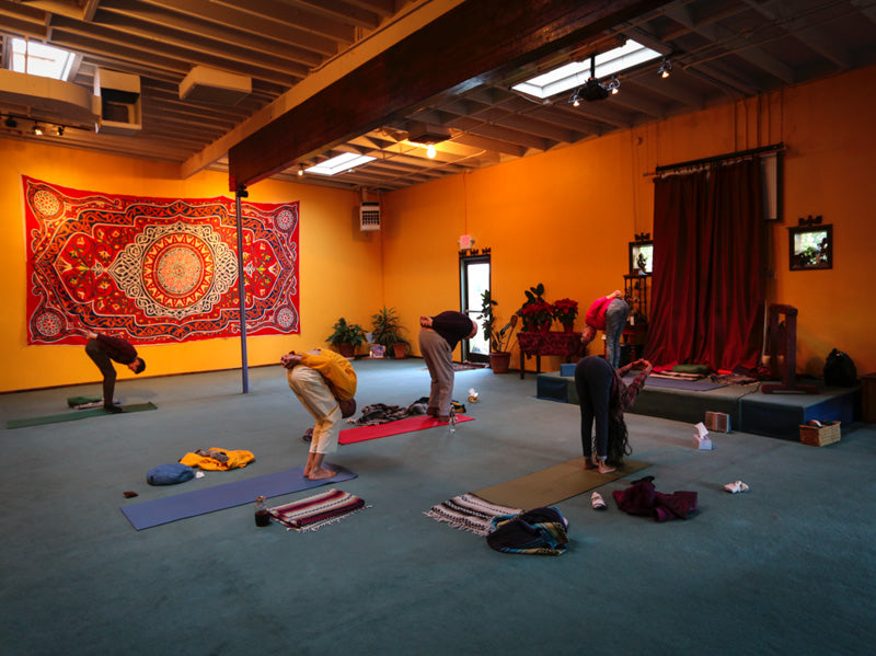 Sivananda Yoga & the Divine Grace Ashram