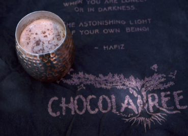 ChocolaTree in Life Plus Style Mag