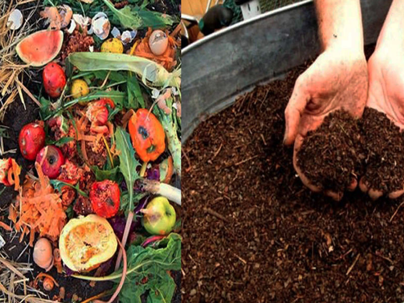 Why We Compost 100% of our Sacred Food Scraps