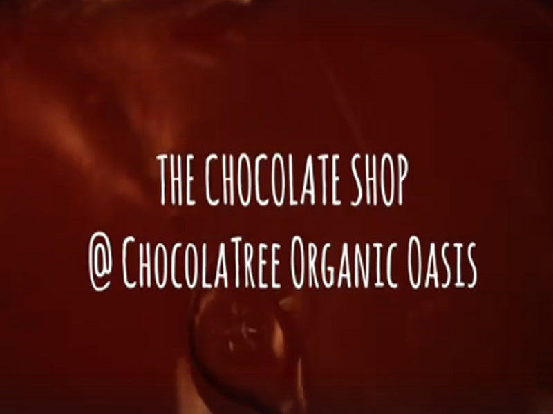 Joy of Chocolate Making with Chocolatier Jeffrey Botticelli