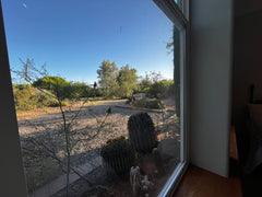 Natures Oasis Sanctuary