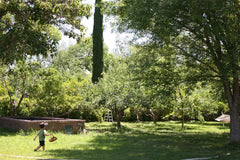 Garden View Suite at Natures Oasis Sanctuary
